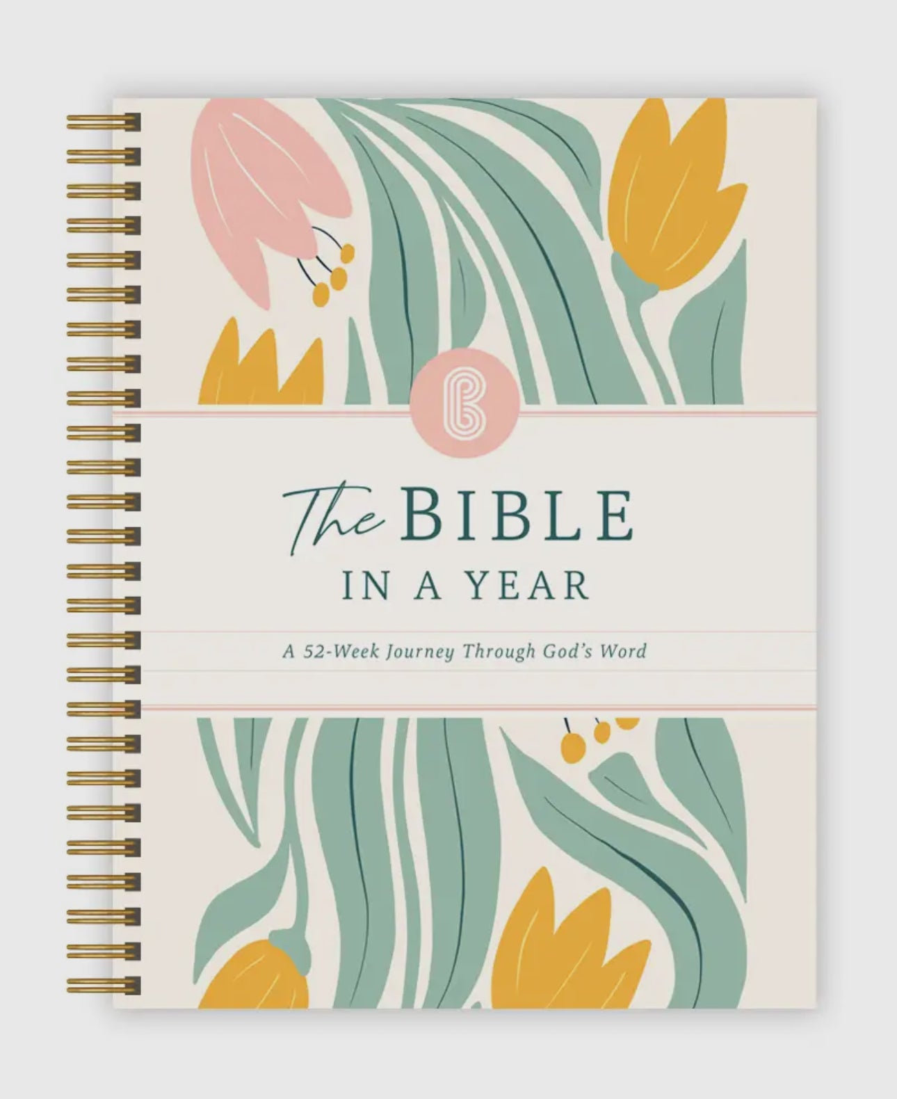 The Bible In A Year Spiral